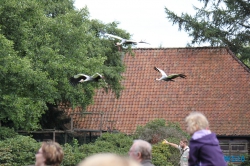 Weltvogelpark Walsrode