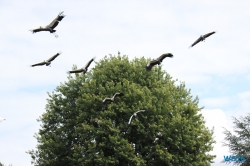 Weltvogelpark Walsrode