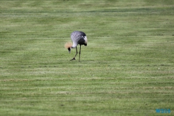 Weltvogelpark Walsrode
