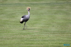Weltvogelpark Walsrode