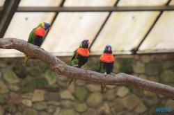 Weltvogelpark Walsrode