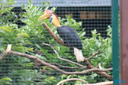 Weltvogelpark Walsrode