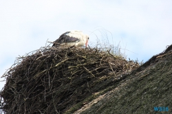 Weltvogelpark Walsrode