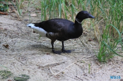 Weltvogelpark Walsrode