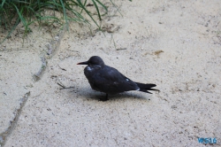 Weltvogelpark Walsrode