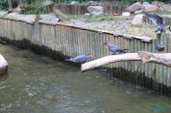 Weltvogelpark Walsrode