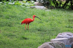 Weltvogelpark Walsrode