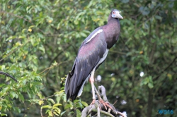 Weltvogelpark Walsrode