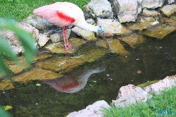 Weltvogelpark Walsrode