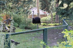 Weltvogelpark Walsrode