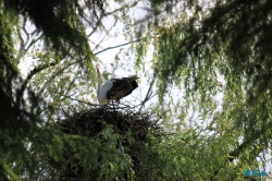 Weltvogelpark Walsrode