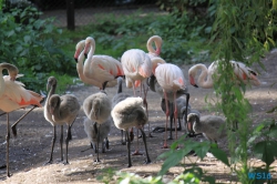 Weltvogelpark Walsrode