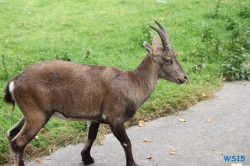 Tierpark Lüneburger Heide Nindorf 11.10.03