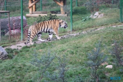 Tierpark Lüneburger Heide Nindorf 11.10.03
