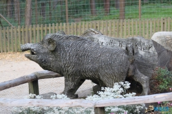 Tierpark Lüneburger Heide Nindorf 11.10.03