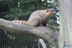 Tierpark Lüneburger Heide Nindorf 11.10.03