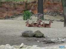 Zoo Hannover 01.09.17