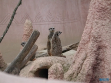 Zoo Hannover 01.09.17