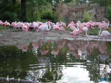 Zoo Hannover 01.09.17