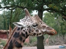 Zoo Hannover 01.09.17