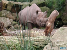 Zoo Hannover 01.09.17