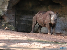 Zoo Hannover 01.09.17