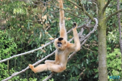 Zoo Hannover 12.04.28