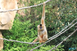 Zoo Hannover 12.04.28