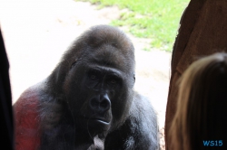 Zoo Hannover 12.04.28