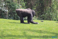 Zoo Hannover 12.04.28