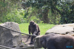 Zoo Hannover 12.04.28