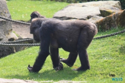Zoo Hannover 12.04.28