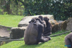 Zoo Hannover 12.04.28