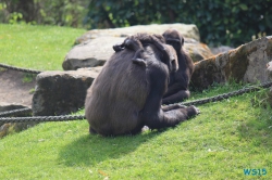 Zoo Hannover 12.04.28