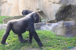 Zoo Hannover 12.04.28