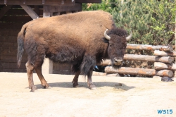 Zoo Hannover 12.04.28