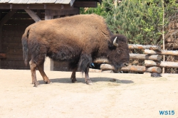 Zoo Hannover 12.04.28