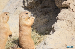 Zoo Hannover 12.04.28