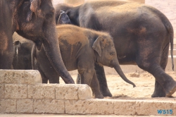 Zoo Hannover 12.04.28