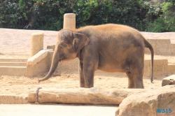 Zoo Hannover 12.04.28
