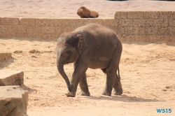 Zoo Hannover 12.04.28