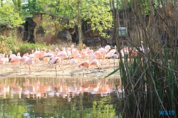Zoo Hannover 12.04.28