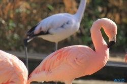 Zoo Hannover 12.04.28