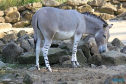 Zoo Hannover 12.04.28