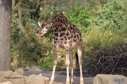 Zoo Hannover 12.04.28