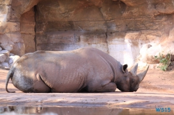 Zoo Hannover 12.04.28