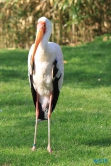 Zoo Hannover 12.04.28