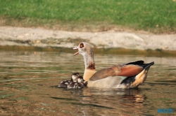 Zoo Hannover 12.04.28