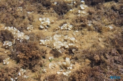 Ajaccio Korsika 16.07.18 - Die kleinen Perlen des Mittelmeers AIDAstella