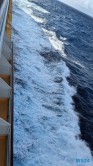 Atlantik 24.03.07 Traumhafte Strände und Wale in Mittelamerika und Karibik AIDAluna 013